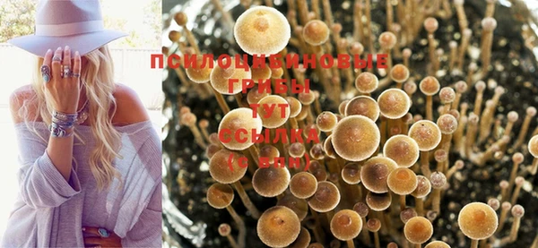 МДМА Арсеньев