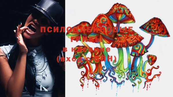 прущая мука Ростов
